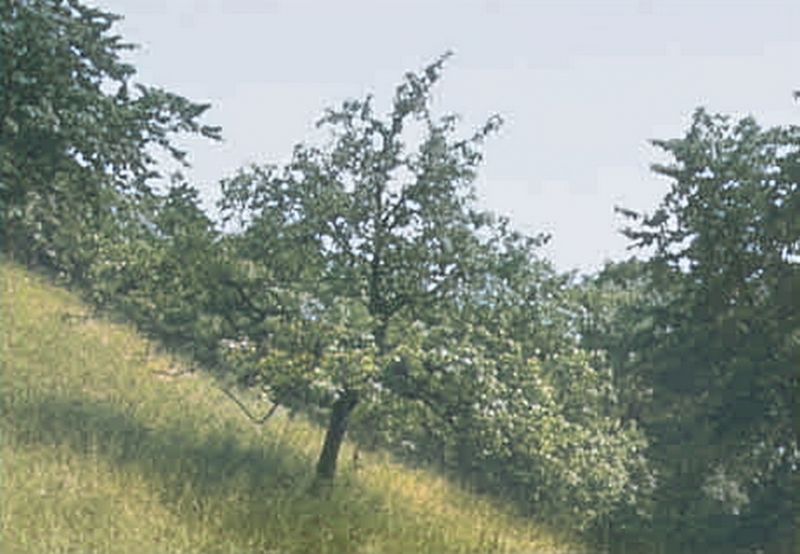 Ficheiro:CR80-Image1.jpg