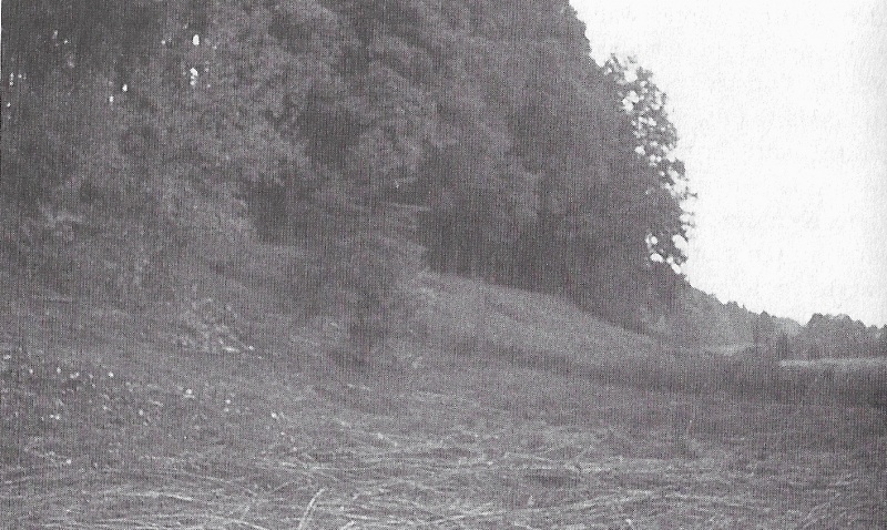 Ficheiro:Photo-zeugenbuch-p120a.jpg