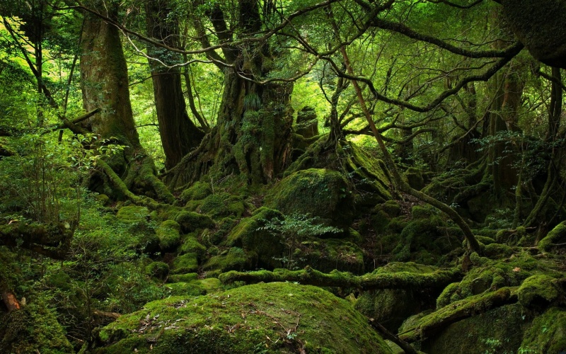 Ficheiro:Deneb Eco Fictional.jpg