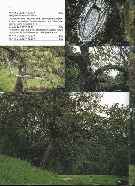 Ficheiro:Photo-Inventarium p174.png
