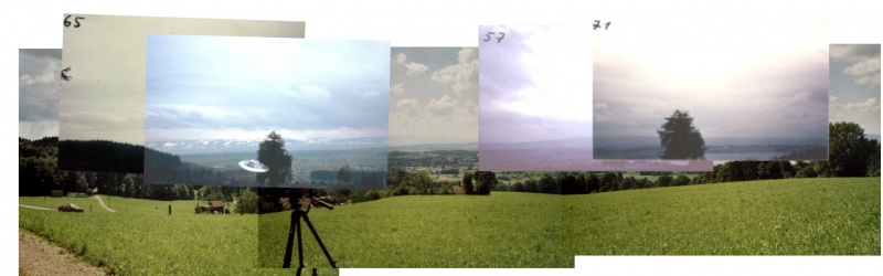 Ficheiro:Panview3.jpg