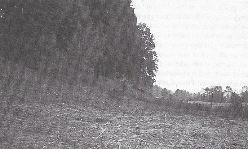 Ficheiro:Photo-zeugenbuch-p120b.jpg