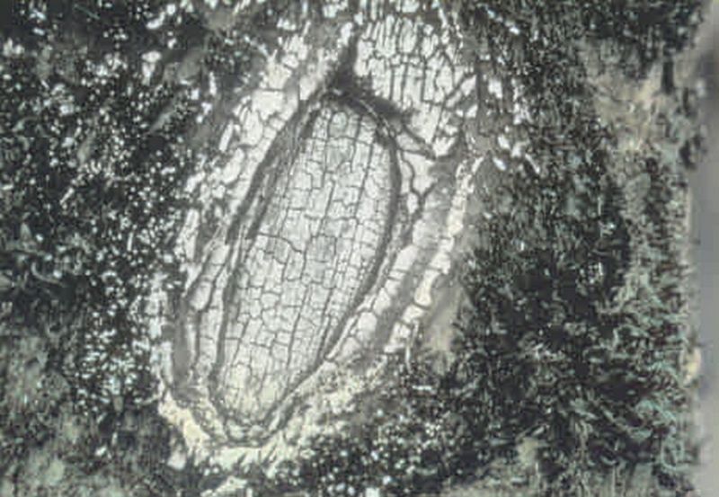 Ficheiro:CR80-Image4.jpg