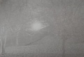 123photo1.jpg
