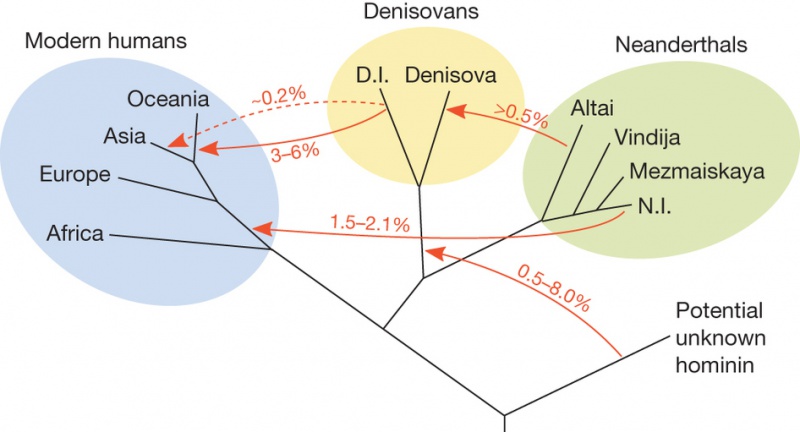 Ficheiro:Earlyhumans.jpg