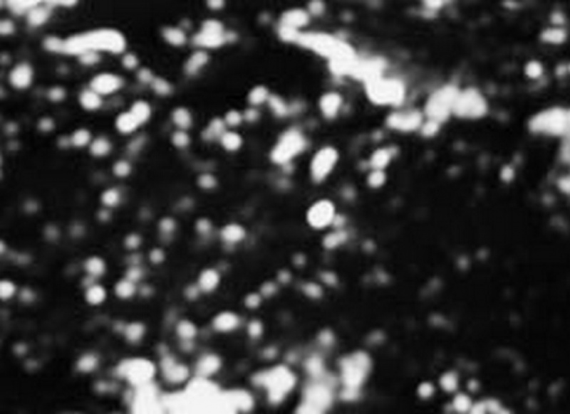 Ficheiro:CR31-Image16.jpg