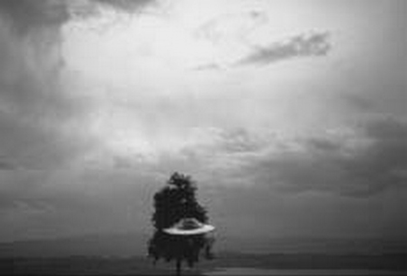 Ficheiro:CR31-Image31.jpg