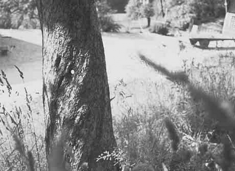 Ficheiro:CR78-Image4.jpg