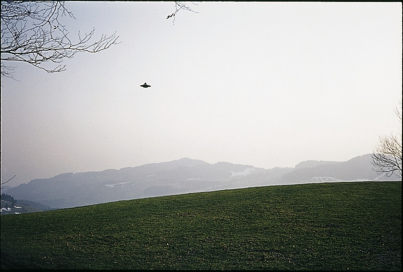 Ficheiro:F 151.jpg