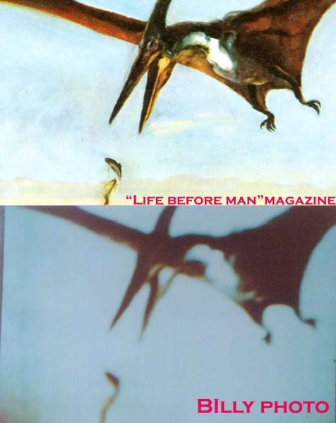 Ficheiro:LifeBeforeManImage+MeierImage.jpg