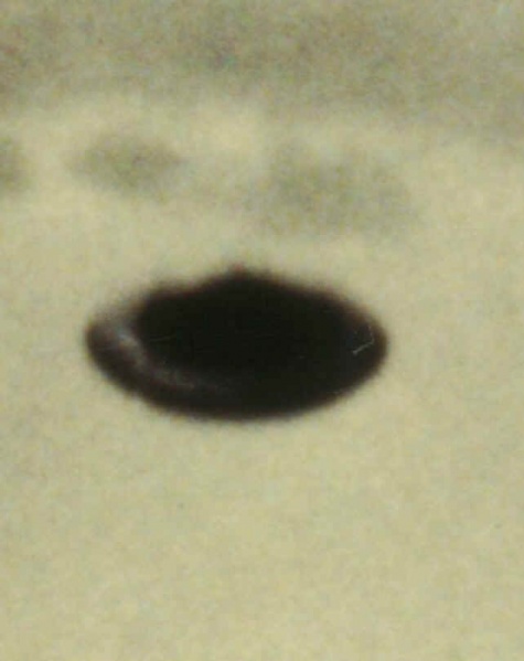 Ficheiro:Meier-03.jpg