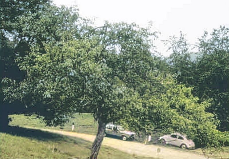 Ficheiro:CR80-Image2.jpg
